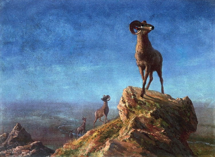 Albert Bierstadt Oil Painting Rocky Mountain Big Horns